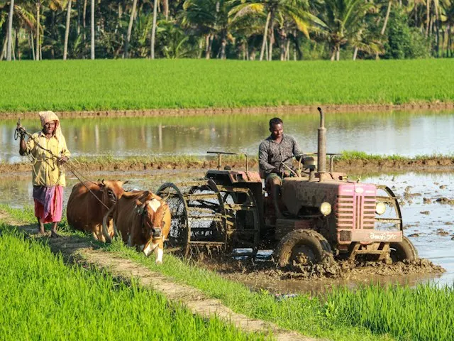 Agriculture & Agri-Inputs